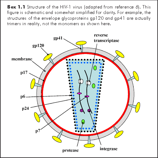 aids virus diagram