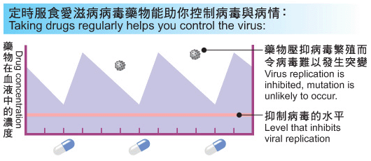 定时服食爱滋病病毒药物能助你控制病毒与病情