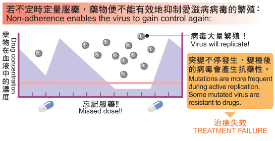 若不定时定量服药,药物便不能有效地抑制爱滋病病毒的繁殖